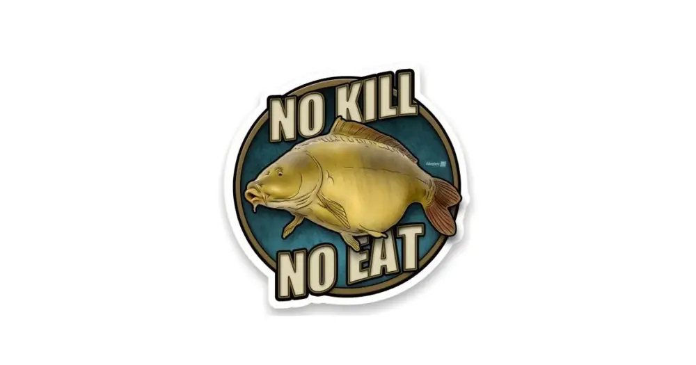 Ihned K Objednání 4ANGLERSDESIGN Samolepka 15 No Kill No Eat