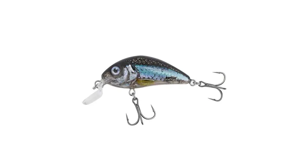 Objednat Nyní Salmo Wobler Rattlin Hornet Shallow Runner Clear Holo Smelt - 4,5 cm