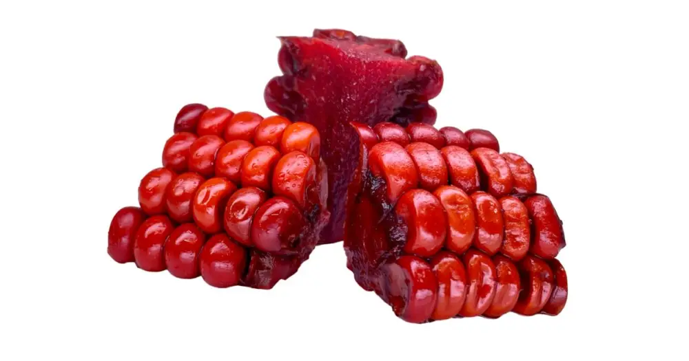 LK Baits Cuc! Corn Compot 50 g Objednat Nyní