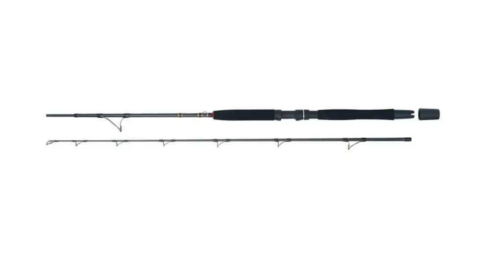 WFT Prut Go North II 2,1 m 50lb 400-1000 g Aktuální