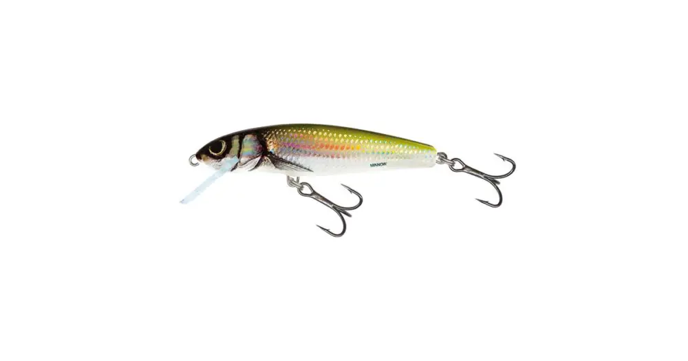 Cenová Bomba Salmo Wobler Minnow Floating Holo Bleak-5 cm 3 g