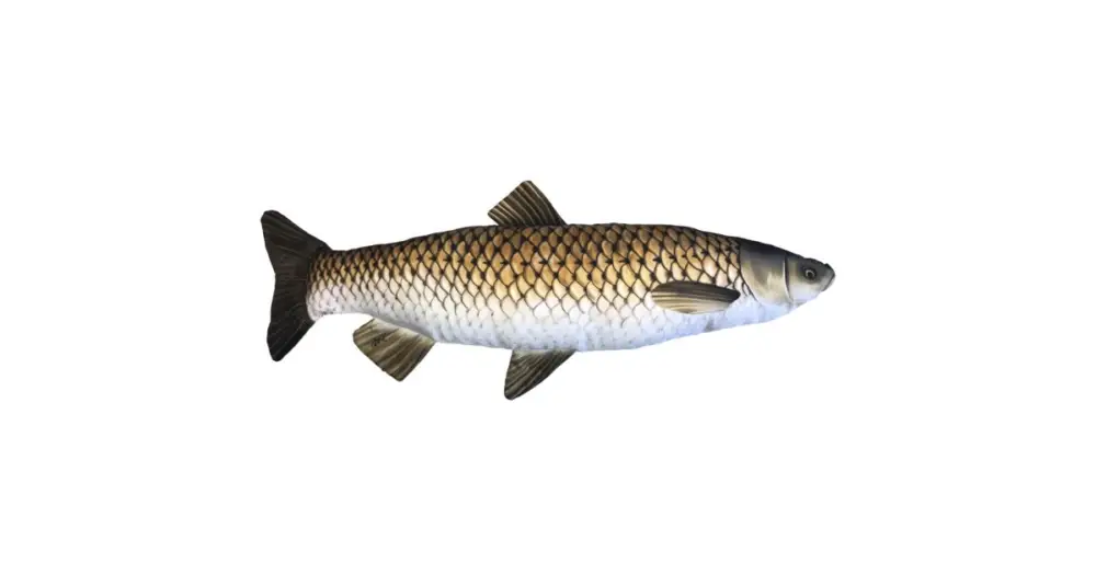 Gaby Plyšová Ryba Amur 75 cm Koupit Online