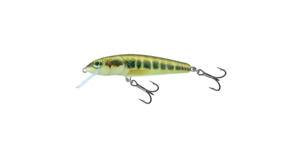 Originální Salmo Wobler Minnow Sinking Minnow