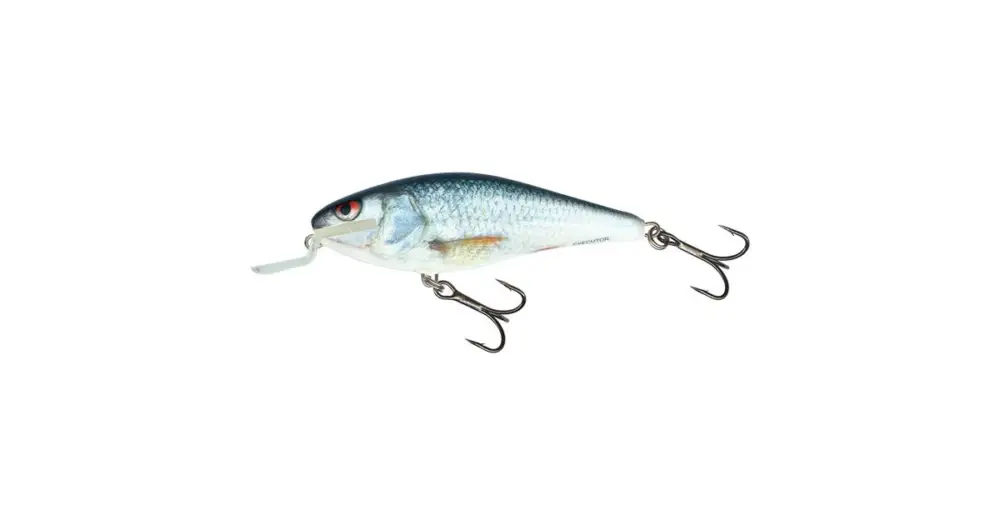 Salmo Wobler Executor Shallow Runner Real Dace Nejlepší Volba