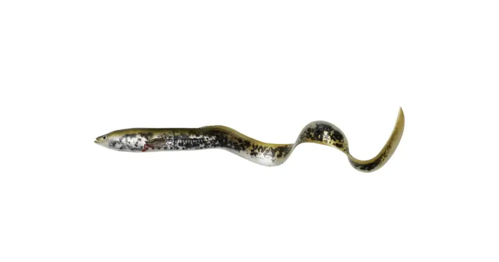Savage Gear Gumová Nástraha 3D Real Eel Bulk Lamprey PHP Finální Výprodej