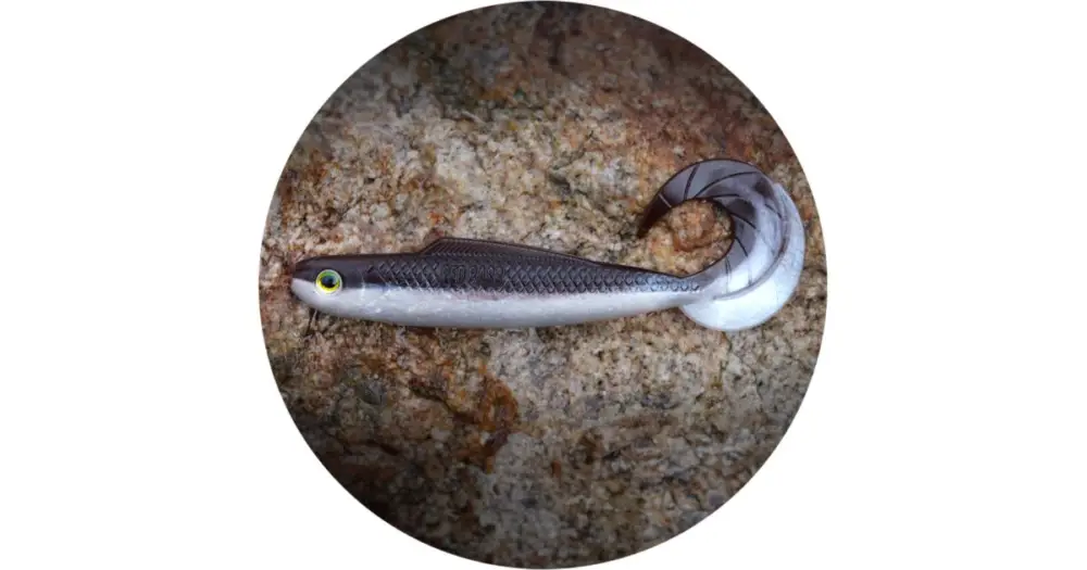 RedBass Gumová Nástraha Twister Kixter Brown/Silver UV - XXL 200 mm 50,7 g Bezpečná Platba