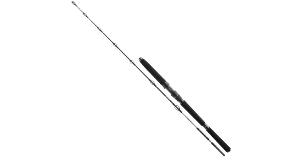 Nová Kolekce Daiwa Prut BG Deep Sea 2,20 m 30 lbs