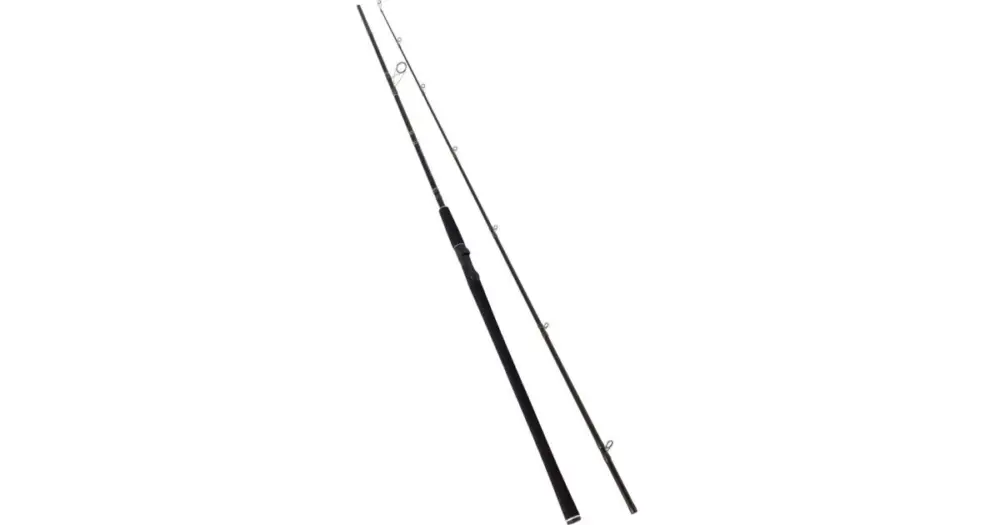 Bezpečná Platba Westin Prut W2 Powercast XH 2,48 m 20-80 g