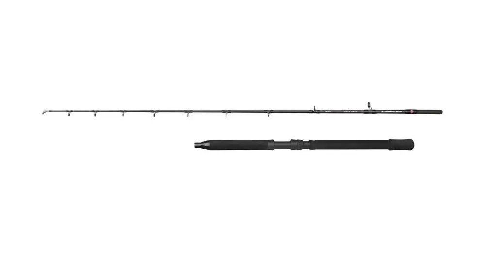 Penn Prut Conflict DeepDrop 2,29 m 500-1000 g 2 Díly Ověřený