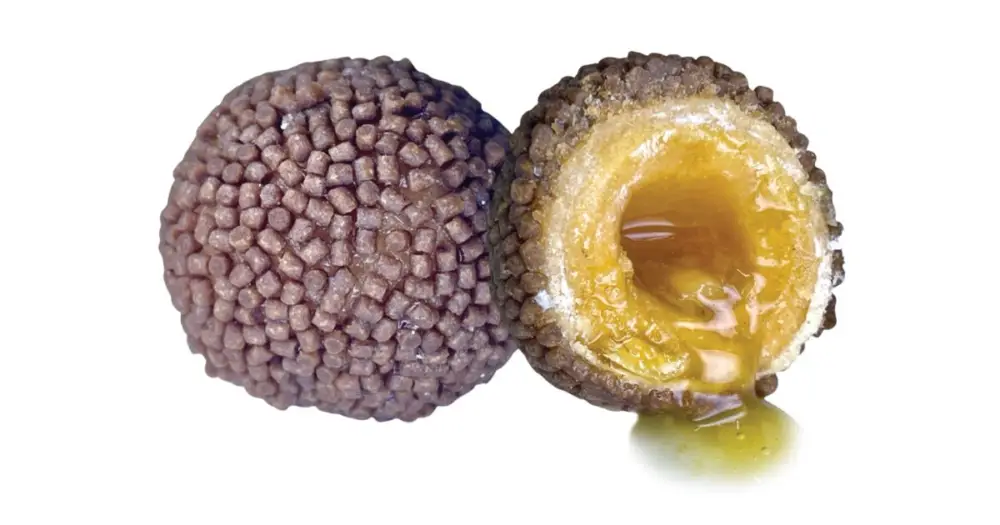 Jen Po Omezenou Doba LK Baits Boilie Nutrigo Pellets Romadur Halibut
