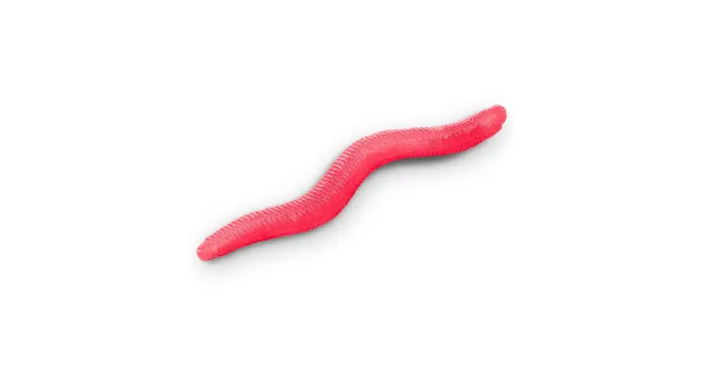 Delphin Umělá Nástraha B! StinxWORM 4 cm 50 ks - Fire / Cheese Levný