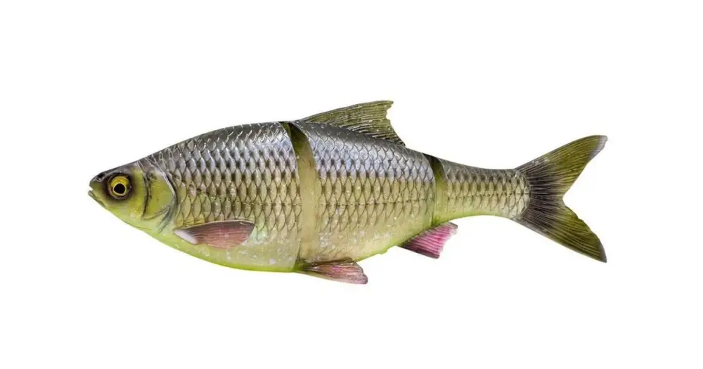 Nízká Cena Savage Gear Gumová Nástraha 3D Line Thru Roach Slow Sinking Hugo - 32 cm 420 g