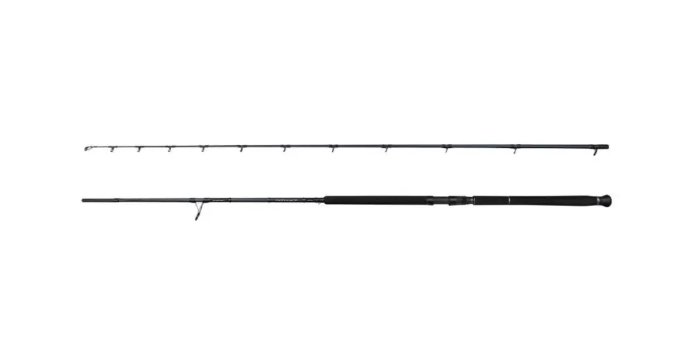 Super Cena Savage Gear Prut Defiance SG2 Shore Jigging 3,05 m 30-100 g 2-Díl