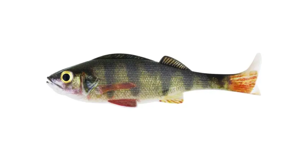 Westin Gumová Nástraha Original Perch Real Perch - 15 cm 34 g Omezená Nabídka