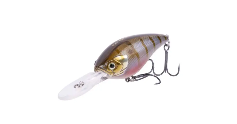 Shimano Wobler Lure Yasei Cover Crank Floating MR Wakasagi Tiger 7 cm 17 g Finální Výprodej