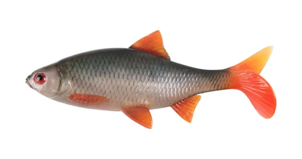 Sezónní Sleva Fox Rage Gumová Nástraha Ultra Natural Roach Bulk - 14 cm