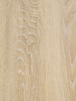 Cenová Bomba Lehčená překližka dub žlutý 1220x2500mm 15mm